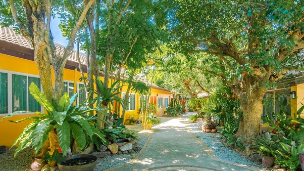 A pathway lined with tropical plants leading to a yellow building with green shutters. - Prayai Changthai Resort (Chalong)