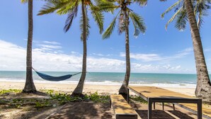 A beach with palm trees, a hammock, and wooden benches.