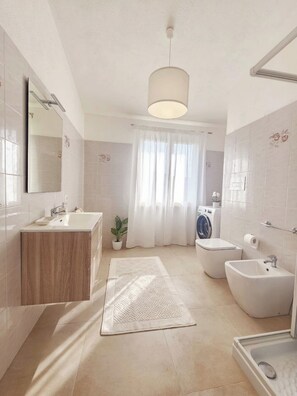 Shower, hair dryer, bidet, towels