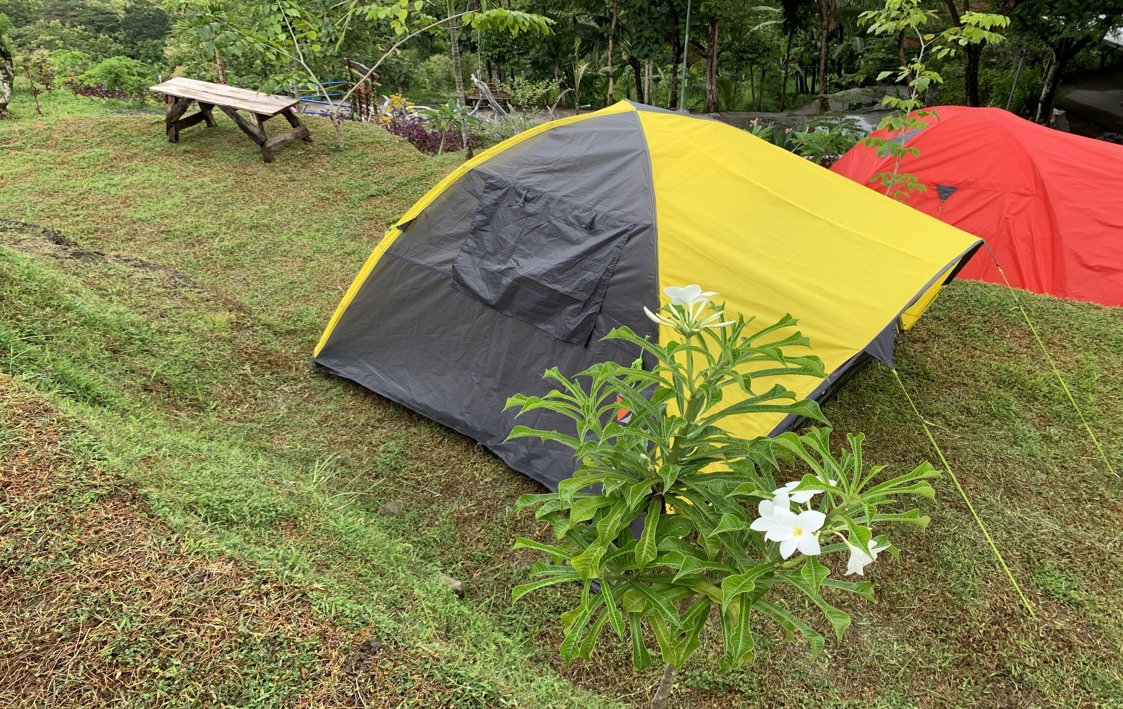 A tent set up on a grassy field with a picnic table nearby.