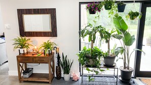 Una habitación con un escritorio de madera, varias plantas en macetas, un espejo en la pared y vistas a través de un ventanal.