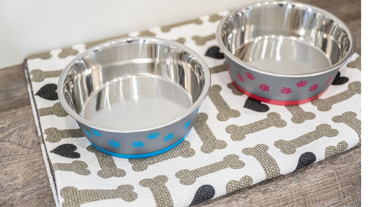 See the Fall Colors at Birds Nest!