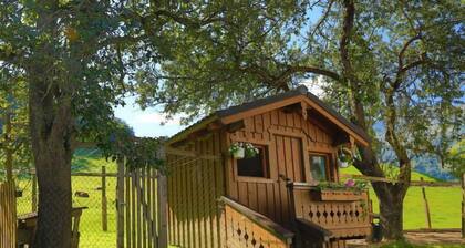 Ferwienwohnung Oberberghof by Interhome