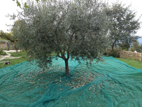 Eco apartment with sun terrace in the green hills of Umbria