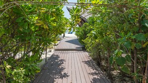 A wooden pathway leading to a building surrounded by lush greenery. - Premier Beach (Gulhi)