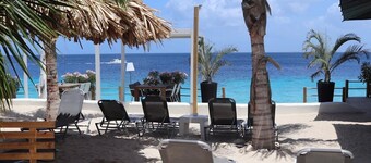 Windsock Manta Ray with Pool and Beach Club