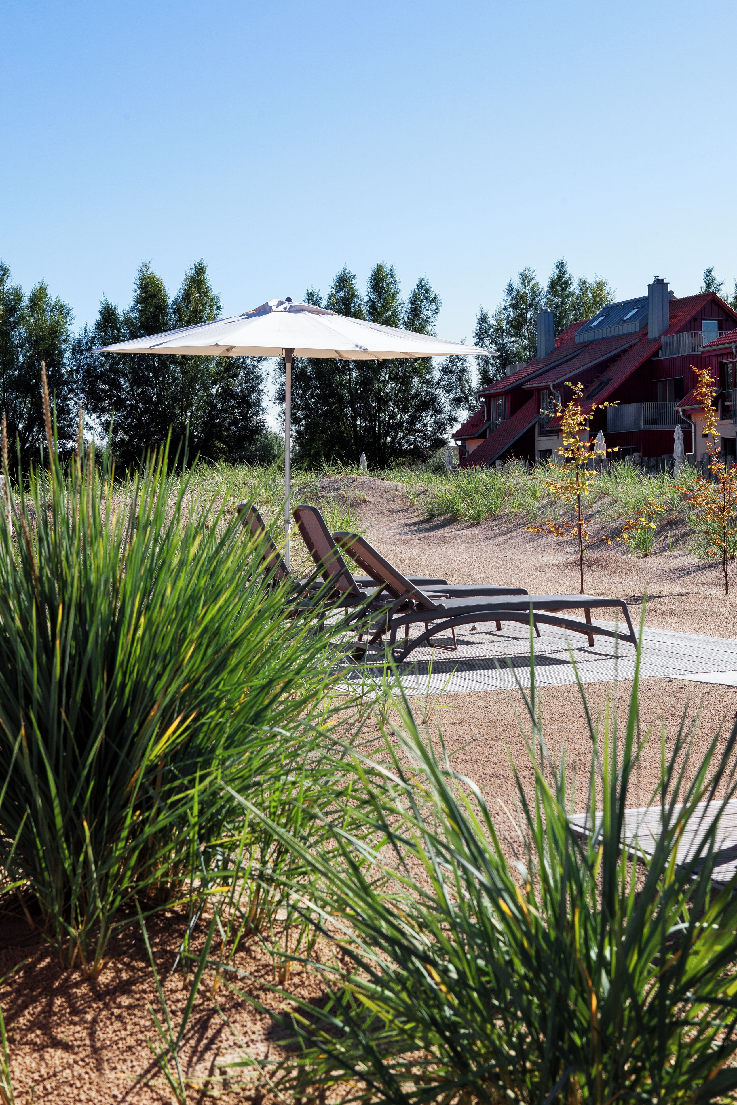A patio area with lounge chairs and an umbrella, surrounded by tall grass and a building in the background.