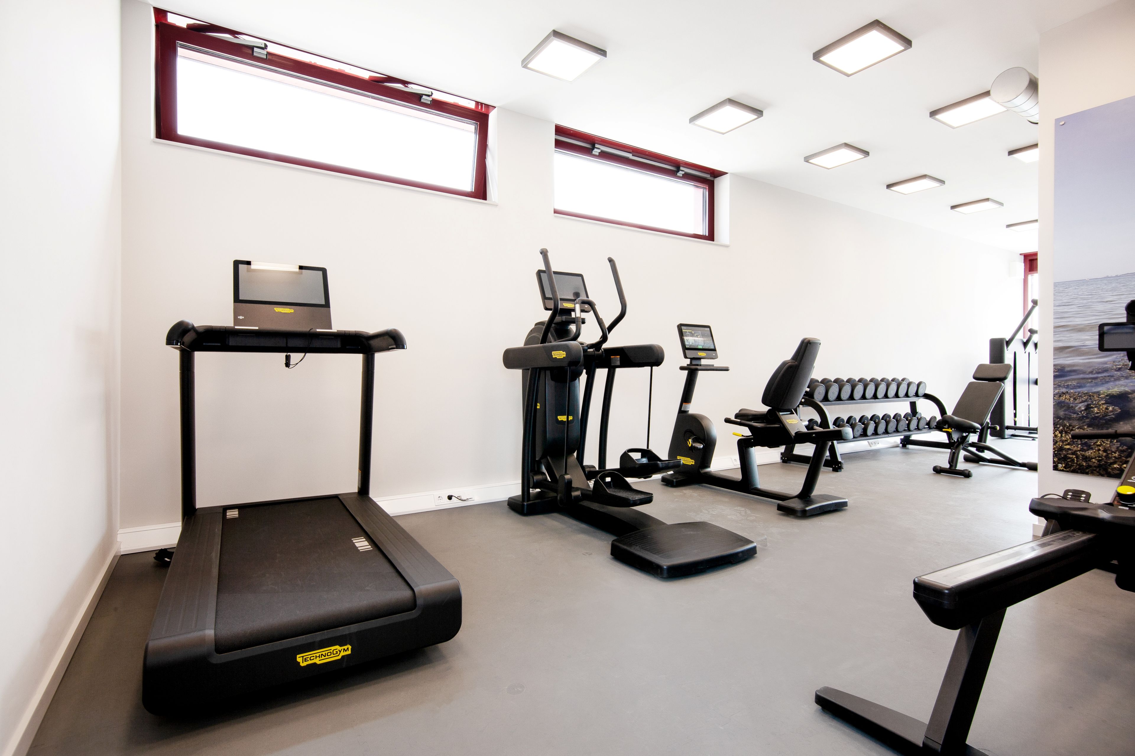 A gym with treadmills, elliptical machines, and weight benches.