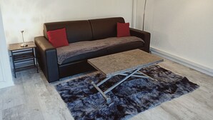 A modern living room with a dark brown sofa, two red cushions, a small side table with a lamp, a coffee table, and a shaggy rug. - Superb T2 on garden level in private residence with swimming pool (Cap d'Agde)