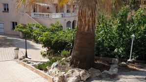 A paved courtyard with a palm tree, a building with balconies, and a lamp post. - Beautiful villa spatieuse quiet residential area (LES ADRETS DE L' ESTEREL)