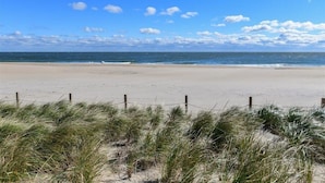 Une plage avec un rivage sablonneux et des dunes herbeuses au premier plan.