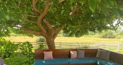 LANTON 3-bedroom house with heated pool 200 m from the beach.