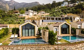 واجهة المنشأة