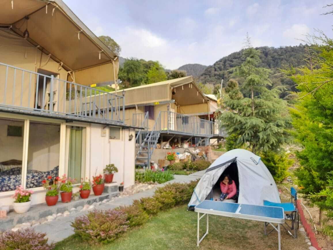 Author Room | 免费 WiFi