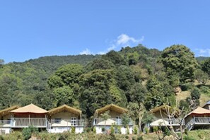 A row of thatched-roof cottages with balconies, set against a backdrop of dense forest and hills. - Camp Cedar (Baijnath)