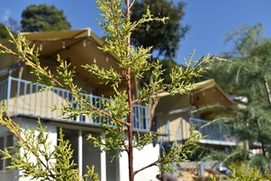 Fachada del alojamiento