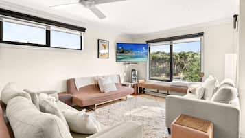 TV, fireplace, table tennis, books