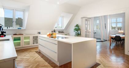 250 Sqm Smack Bang in the Center of Copenhagen