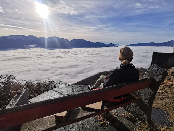 Property grounds - Cozy vacation apartment with lake view, quiet location (Monte Bre Locarno)