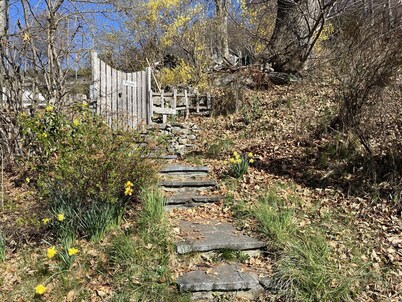 Cozy vacation apartment with lake view, quiet location