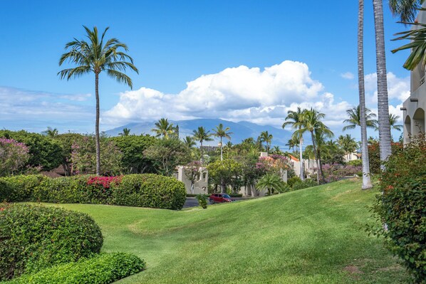 A lush garden with palm trees, manicured lawns, and a red car parked on a driveway. - Palms at Wailea #1605 Tropical Garden View Ground Floor, Wifi, Shared Hot Tub (Wailea)