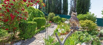 Silverija - Garden and Parking - SA3