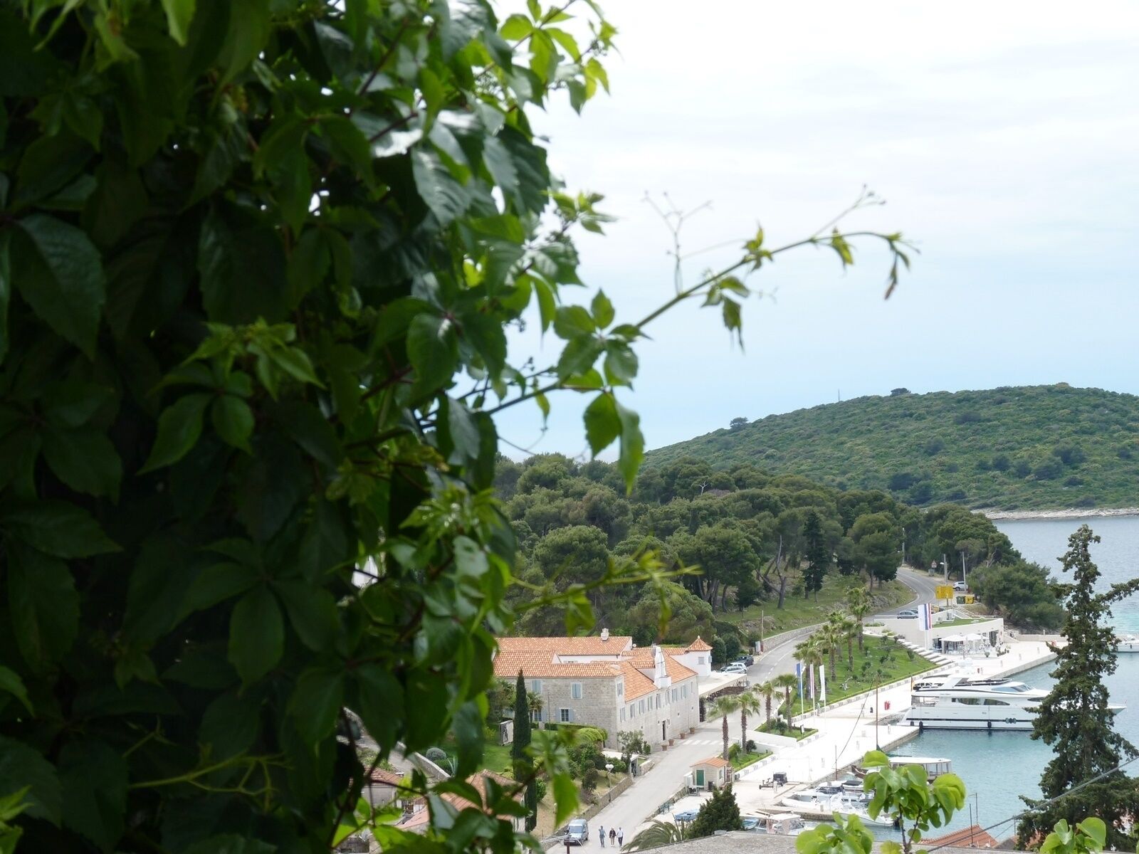 Željko - Affordable and With sea View - A1