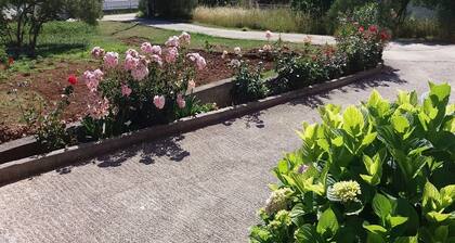 Mare - With Large Terrace - A1