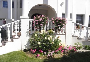 Tuin