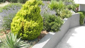 花園