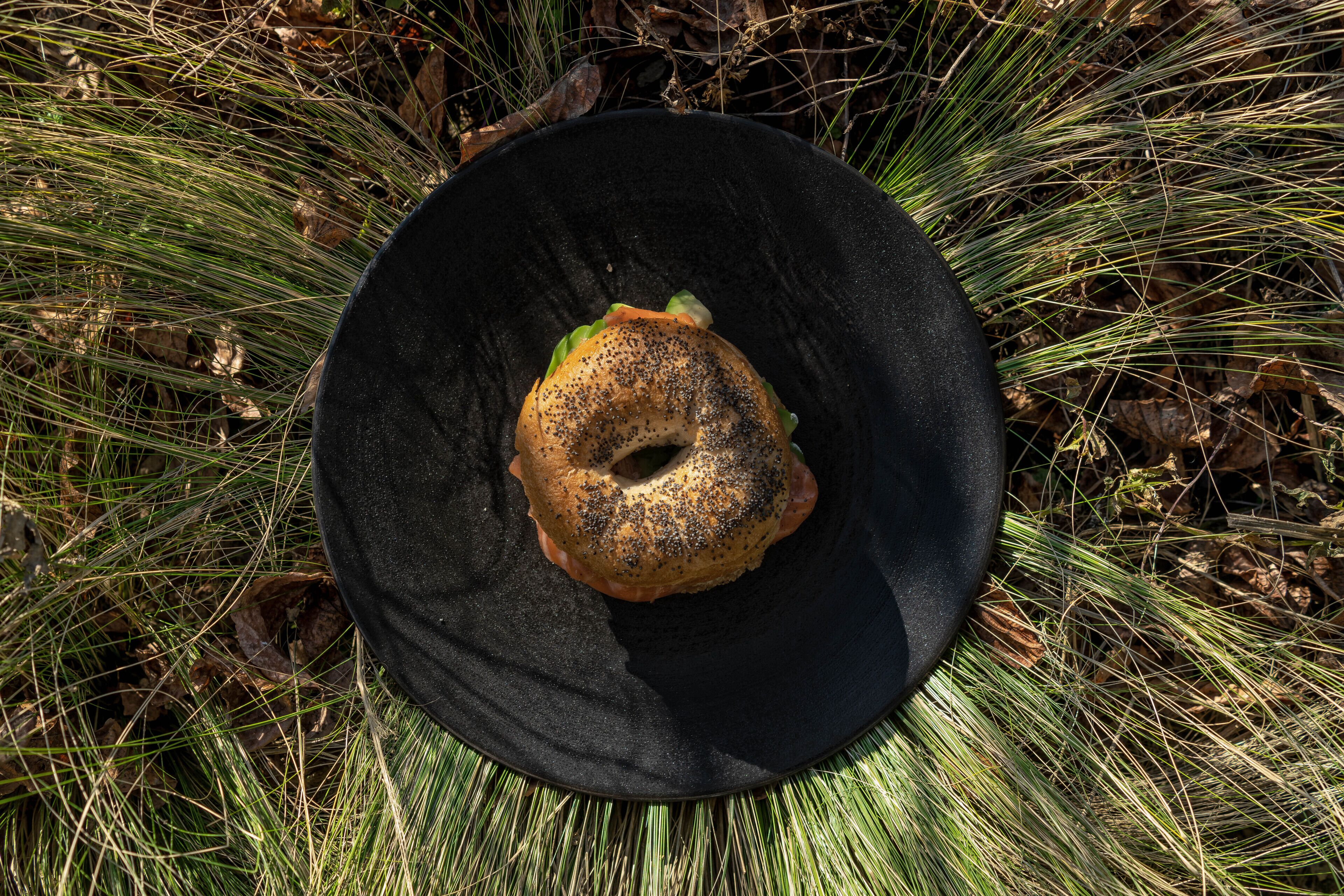 Um bagel sobre um prato preto, cercado por grama.