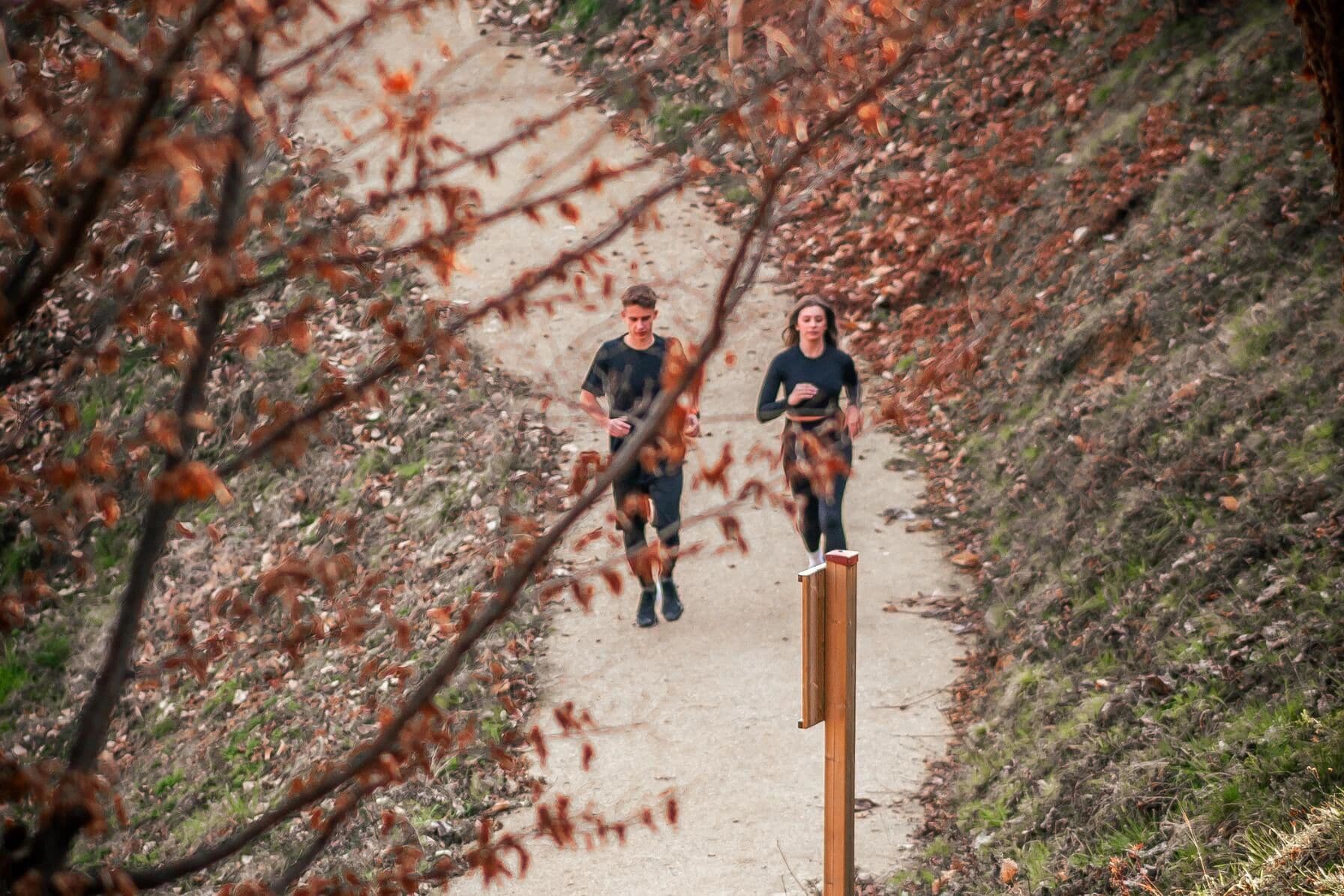 Foto - Phi Hotel Piajo