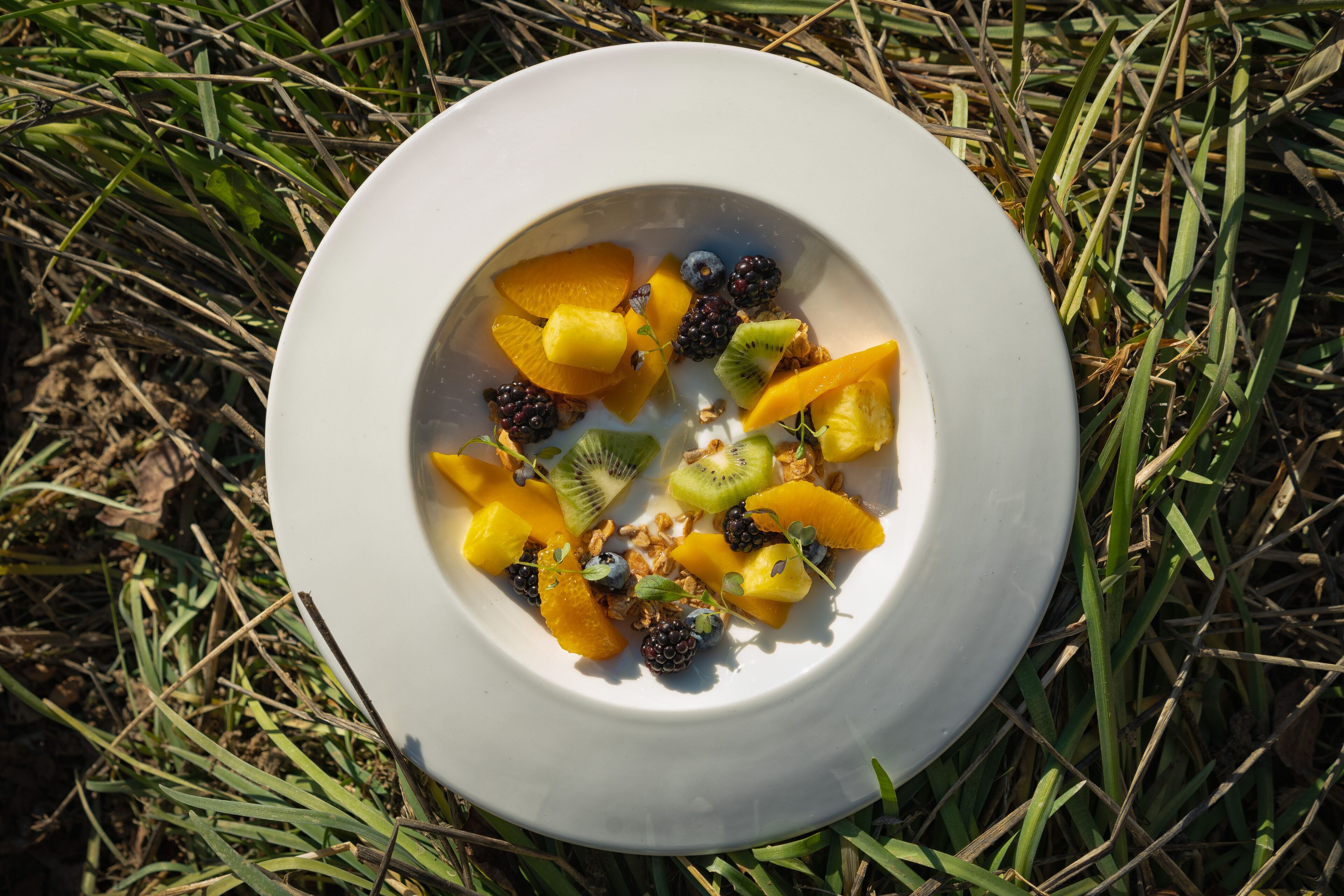 Uma tigela branca cheia de fruta e granola sobre a grama.