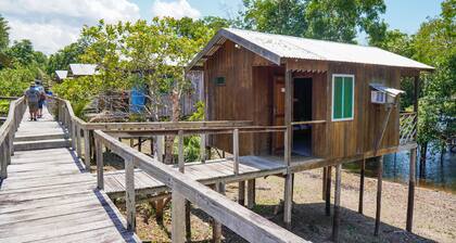 Amazon Boto Lodge