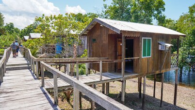 Amazon Boto Lodge