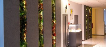 Zoom Hotel