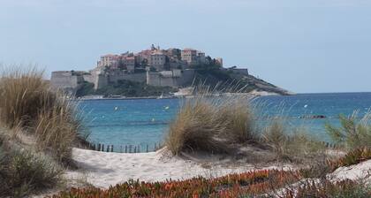 T2  proche plages, centre, port et commodités. Grande terrasse.