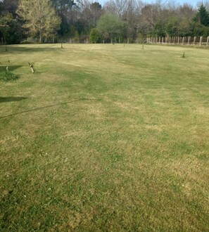 Niet-geclassificeerde afbeelding, 3 van 12, knop