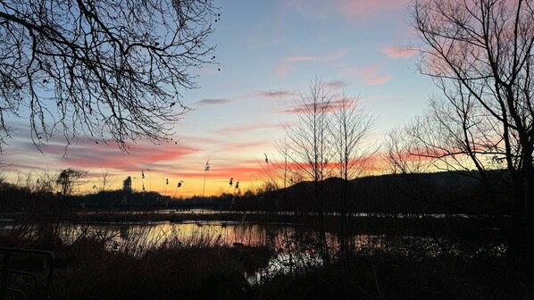 Un atardecer sobre un cuerpo de agua con árboles desnudos y una estructura distante.
