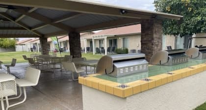 Official Coachella Music Festival Resort