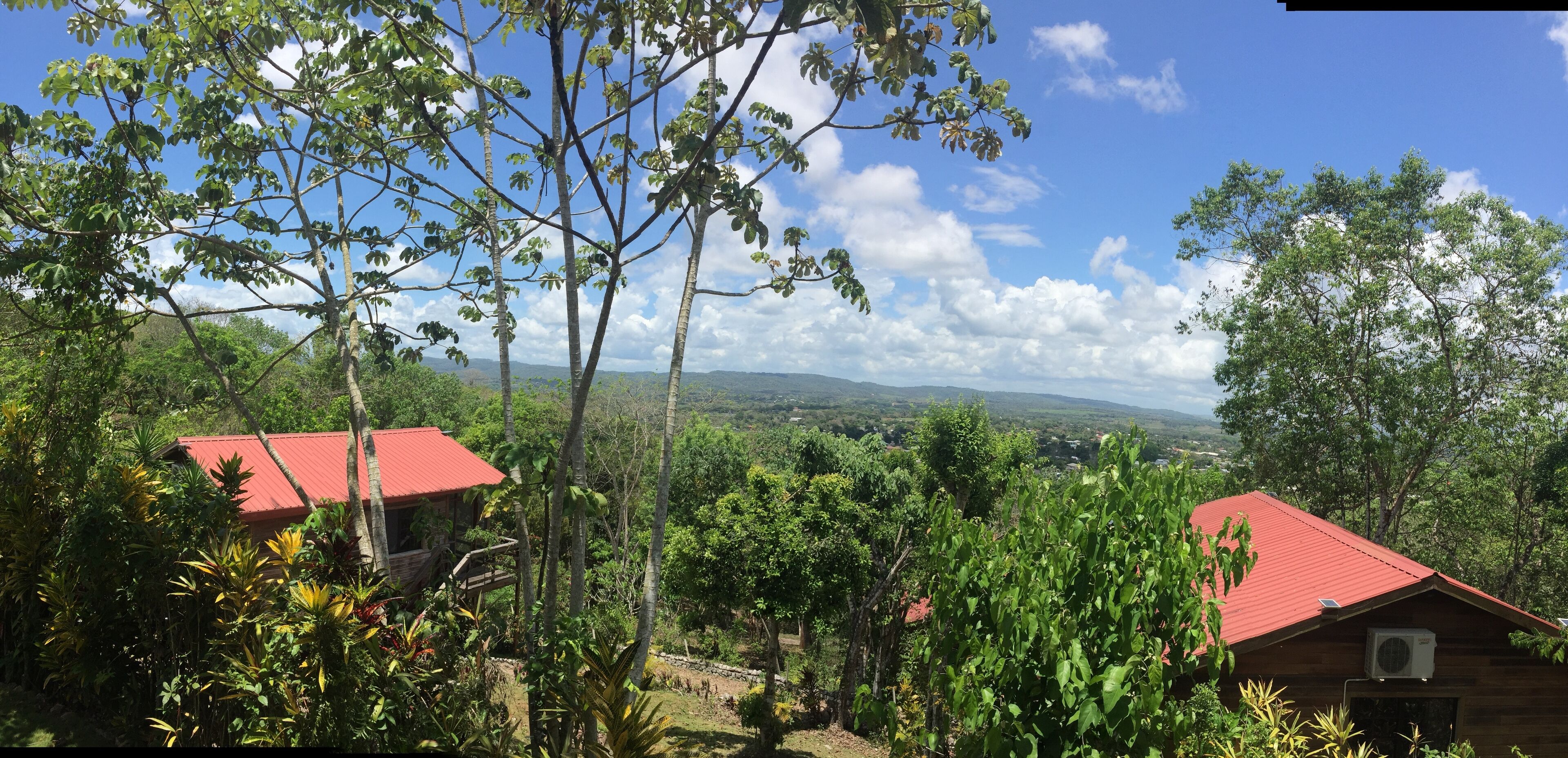 Panoramic Tree House, 1 Bedroom, Hill View, Garden Area | Balcony view