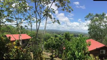 Trehytte – panorama, 1 soverom, utsikt mot høyde, hageområde | Utsikt fra balkong