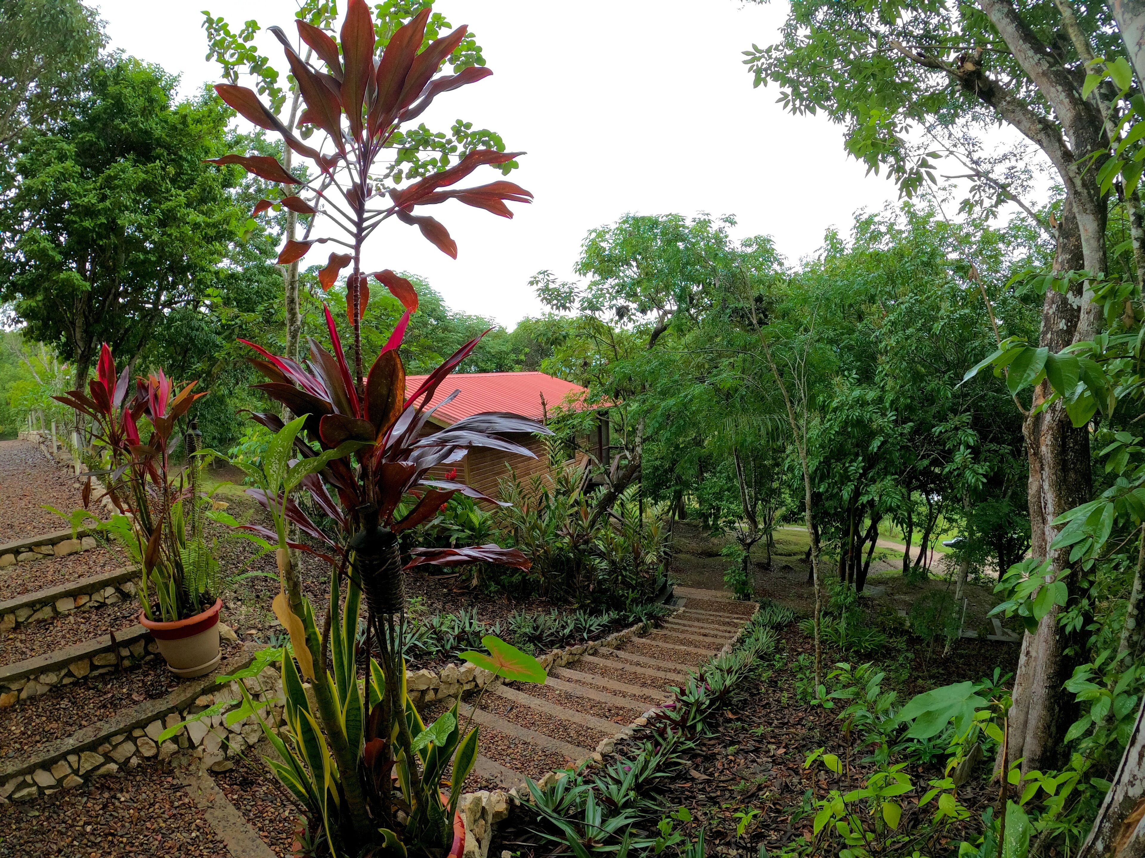 A garden with a stone staircase leading to a wooden structure with a red roof.