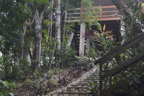 Casa de árbol Premium, 2 camas Queen size, cocineta, vista a la colina | Decoración personalizada, muebles diferentes y escritorio