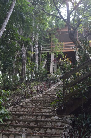 Una escalera de piedra rodeada de abundante vegetación, que conduce a una construcción de madera.