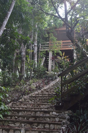 Premium Tree House, 2 Queen Beds, Kitchenette, Hill View | Individually decorated, individually furnished, desk, laptop workspace