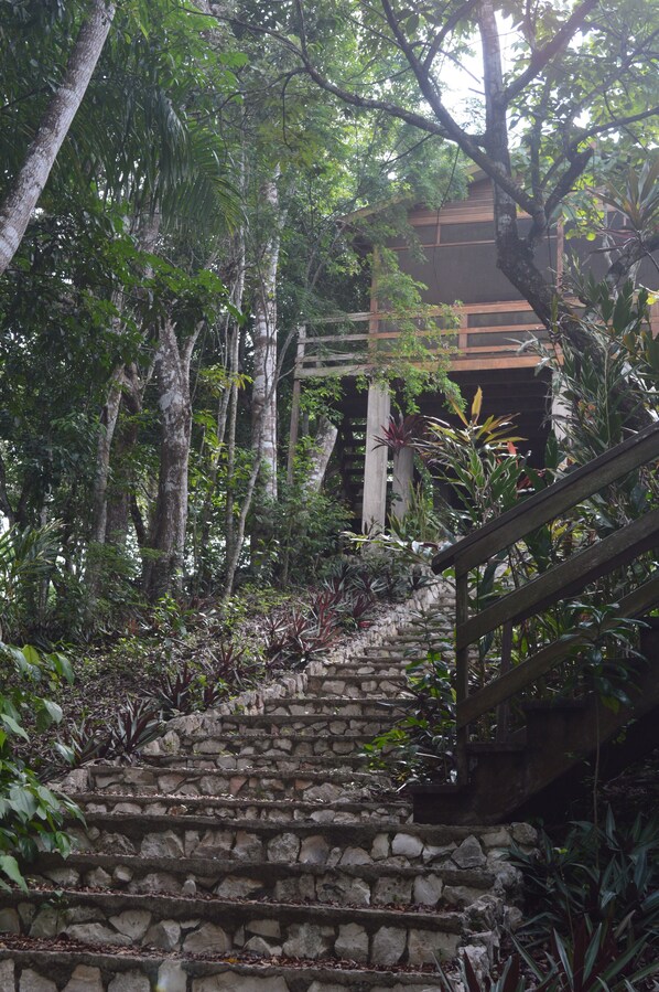 Premium Tree House, 2 Queen Beds, Kitchenette, Hill View | Individually decorated, individually furnished, desk, laptop workspace - Santa Cruz Cabins (San Ignacio)