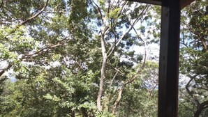 Rumah Pohon Deluks, dapur kecil | Teras/patio