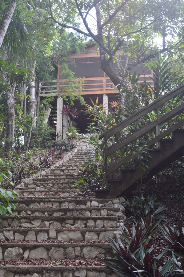 Una escalera de piedra rodeada de abundante vegetación que lleva a una construcción de madera.