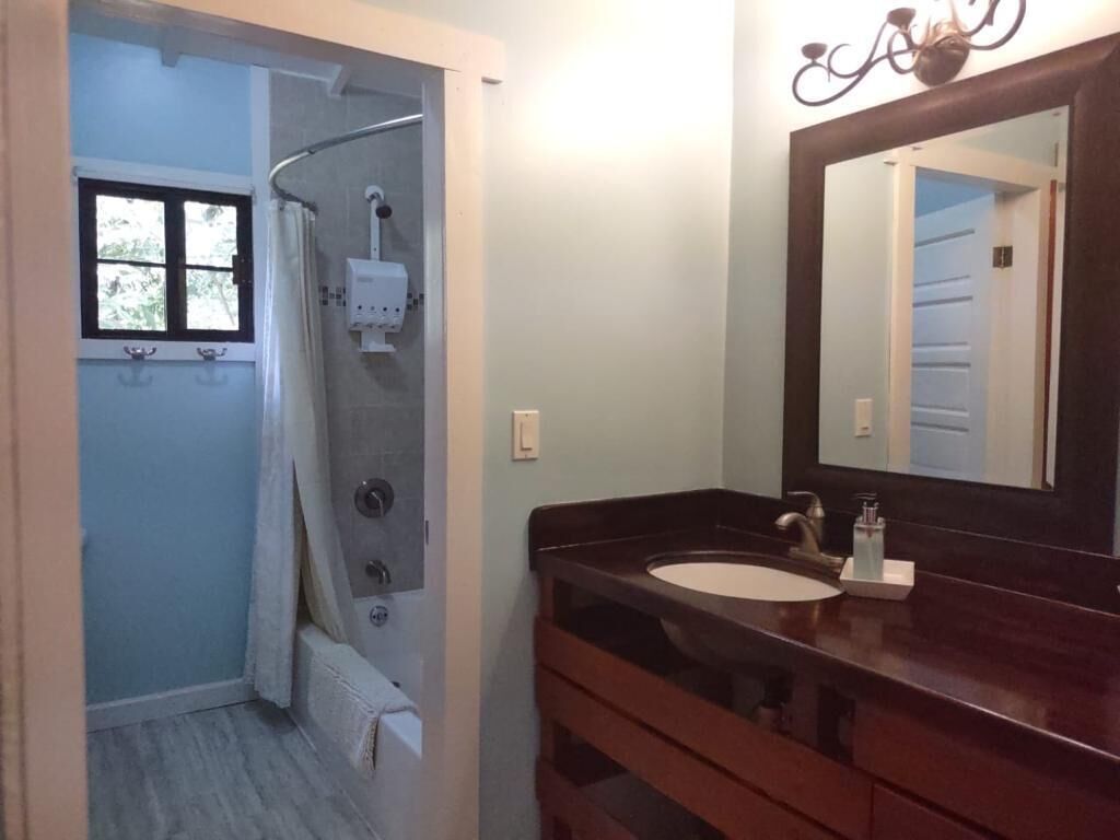 Une salle de bain avec une douche, un lavabo et un miroir.